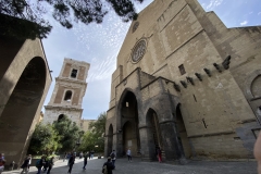 dsc_7247b (3)
