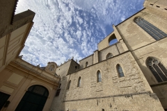 dsc_7260b (1)