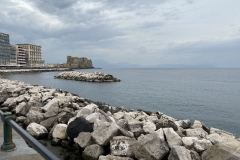 dsc_7358c (8)