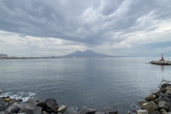 dsc_7363c (1)