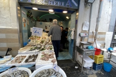 dsc_7423b (6)