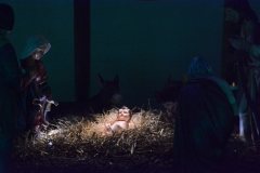 DSC_3680_1024x683