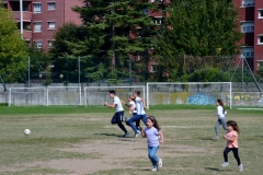 DSC_1459_1024x680