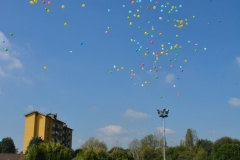 DSC_1474_683x1024