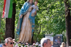 DSC_6595_814x1280