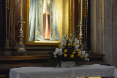 DSC_6655_677x1024