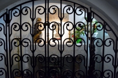 DSC_6678_1024x674