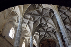 DSC_6761_1024x625