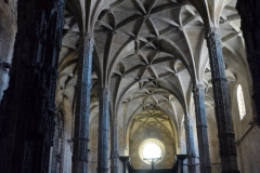 DSC_6781_683x1024