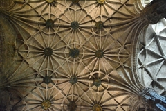 DSC_6793_1024x683