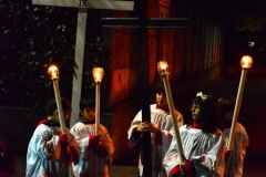 DSC_5056b_683x1024